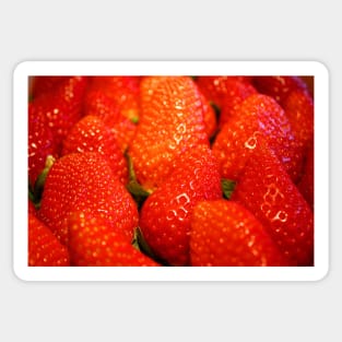 Fresh strawberries Sticker